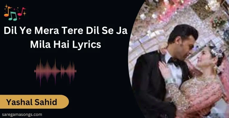 Dil Ye Mera Tere Dil Se Ja Mila Hai Lyrics